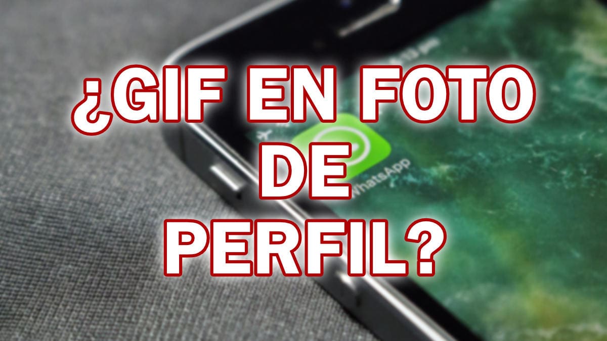 Es posible poner un GIF como foto de perfil en WhatsApp?