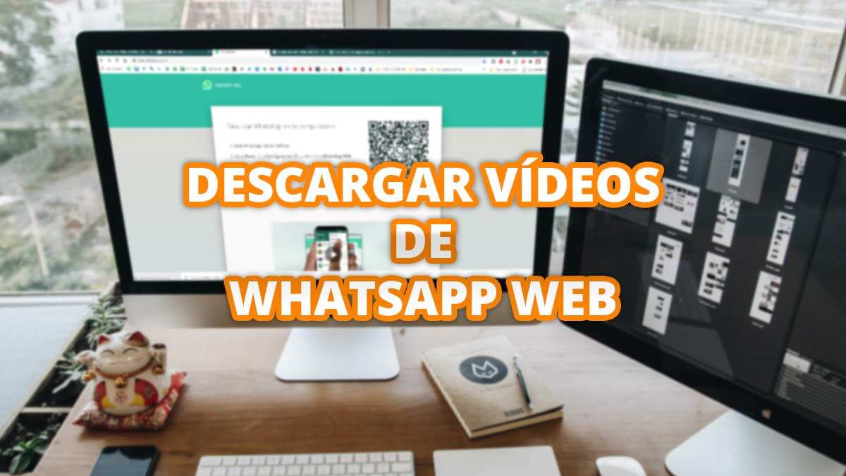 Cómo descargar vídeos de WhatsApp Web