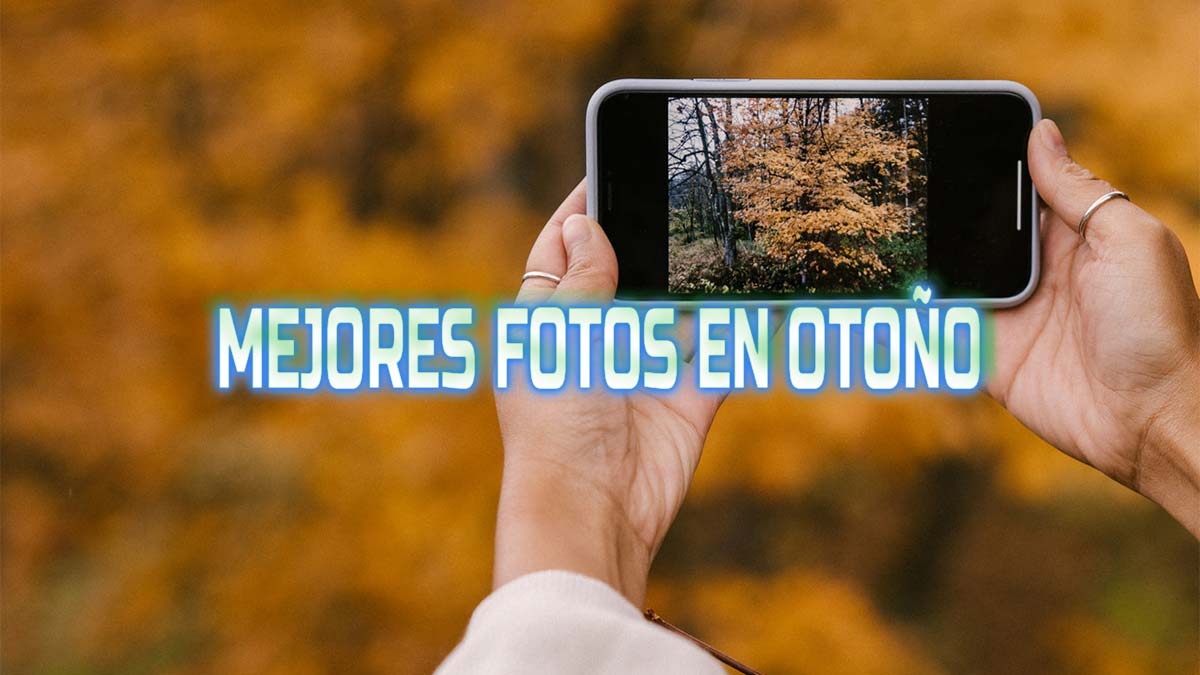8 trucos para hacer buenas fotos en otoño con tu móvil
