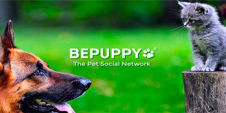 Bepuppy, la red social para mascotas