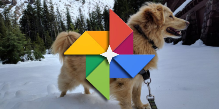 Google Fotos ya agrupa las fotos de nuestras mascotas y permite buscarlas por su nombre