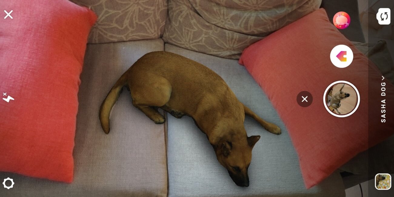 Sasha Dog, el filtro que añade un perro realista en las Instagram Stories