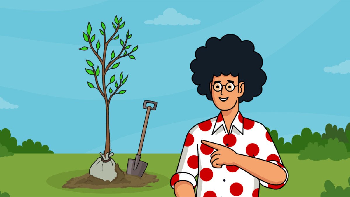 Pepephone plantará un árbol por cada persona que invites a unirse al operador
