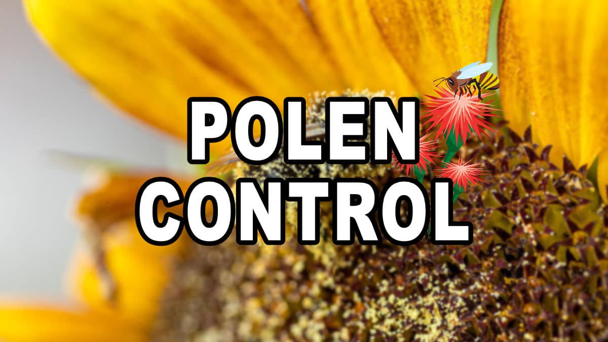 Polen control, la mejor app que debes instalar si eres alérgico