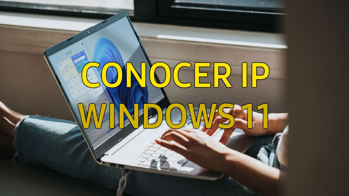 Cómo ver tu dirección IP en Windows 11