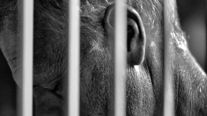 Organizar protestas en redes sociales será castigado por el Código Penal