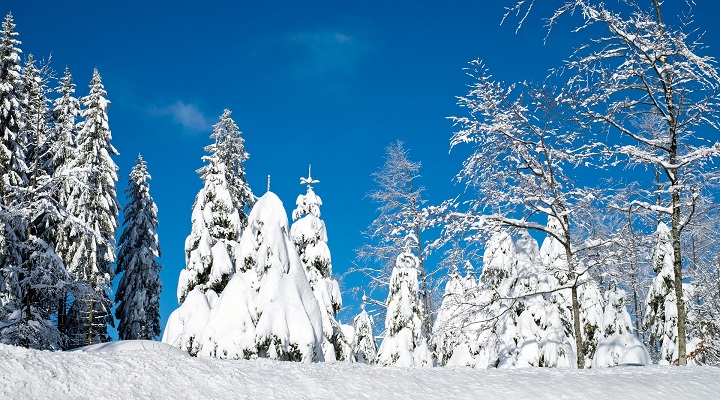 Google celebra el Solsticio de invierno