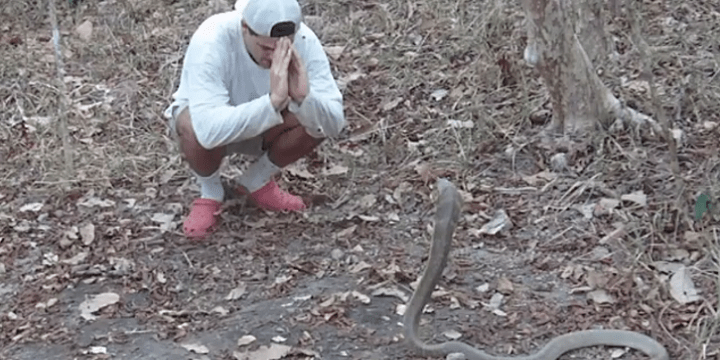 Cierran la cuenta de Twitter de Frank Cuesta por responder a Dani Mateo