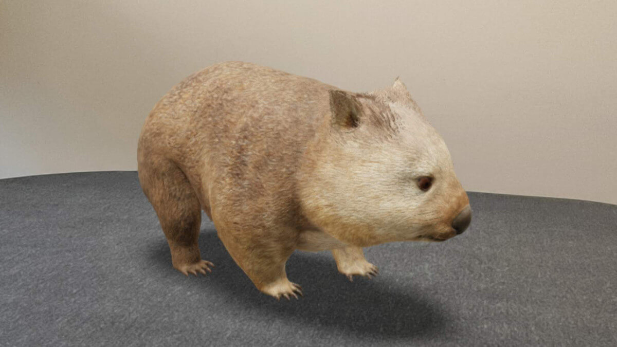 Cebras, vacas, jirafas... prueba ya los 50 nuevos animales 3D de Google