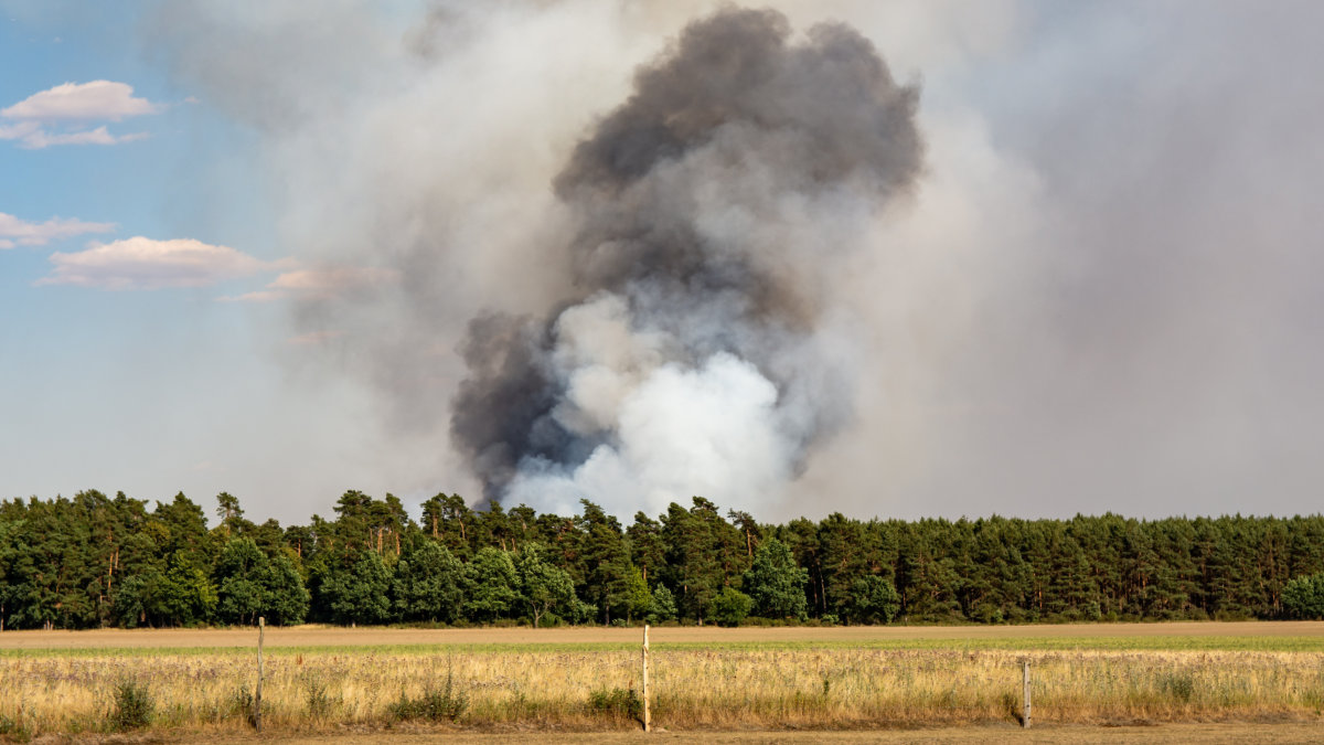 La otra cara de los incendios: los cortes en la fibra de Movistar dejan pueblos desconectados